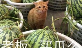 浮云娱乐吃瓜,揭秘娱乐圈最新吃瓜事件