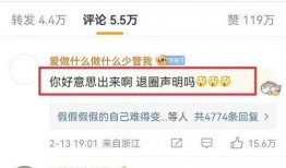 文轩粉丝爆料视频大全最新,精彩瞬间回顾